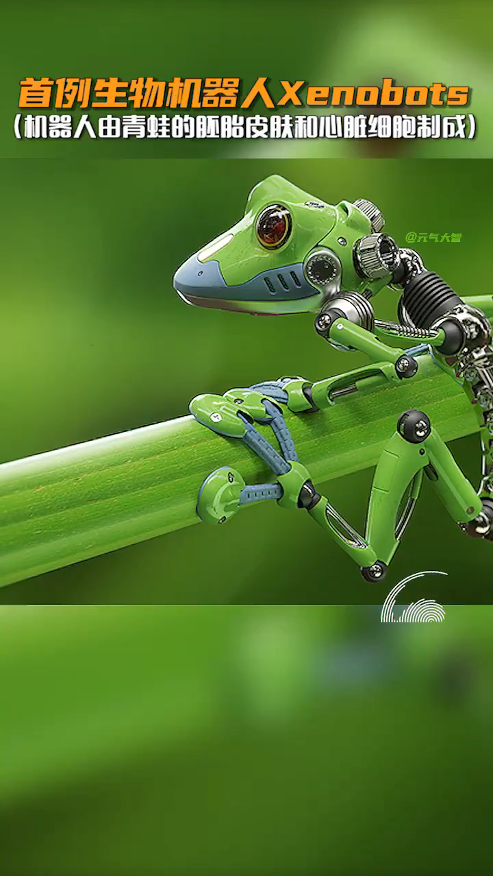 机器人#仿生动物机器人已经出现了!人类的是不是不远了?