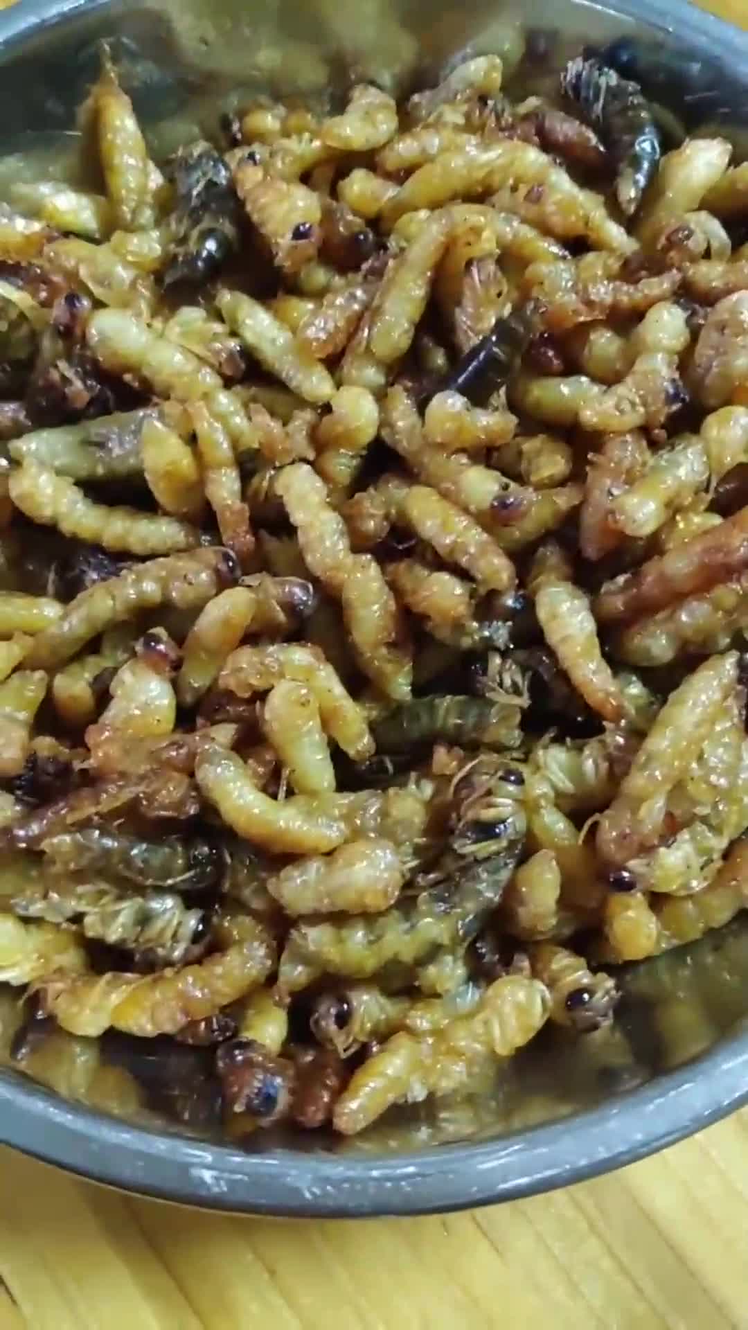 养蜂人眼中的美味炸蜂蛹,你们吃过炸蜂蛹吗,好不好吃啊