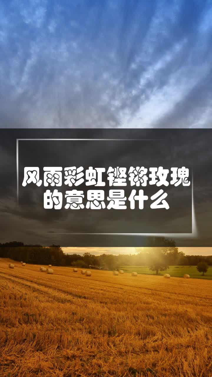 风雨彩虹铿锵玫瑰的意思是什么