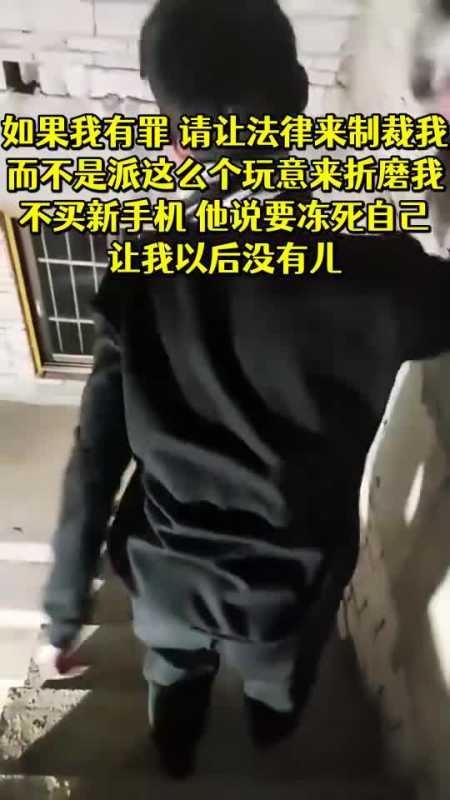 如果我有罪请让法律来制裁我而不是派这么个玩意来折磨我不买新手机他