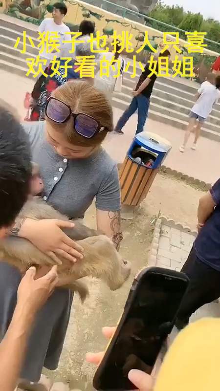 2万#爱美食爱生活#蜂蜜芥末虾仁金灿灿一口一个简单好吃1912小短腿