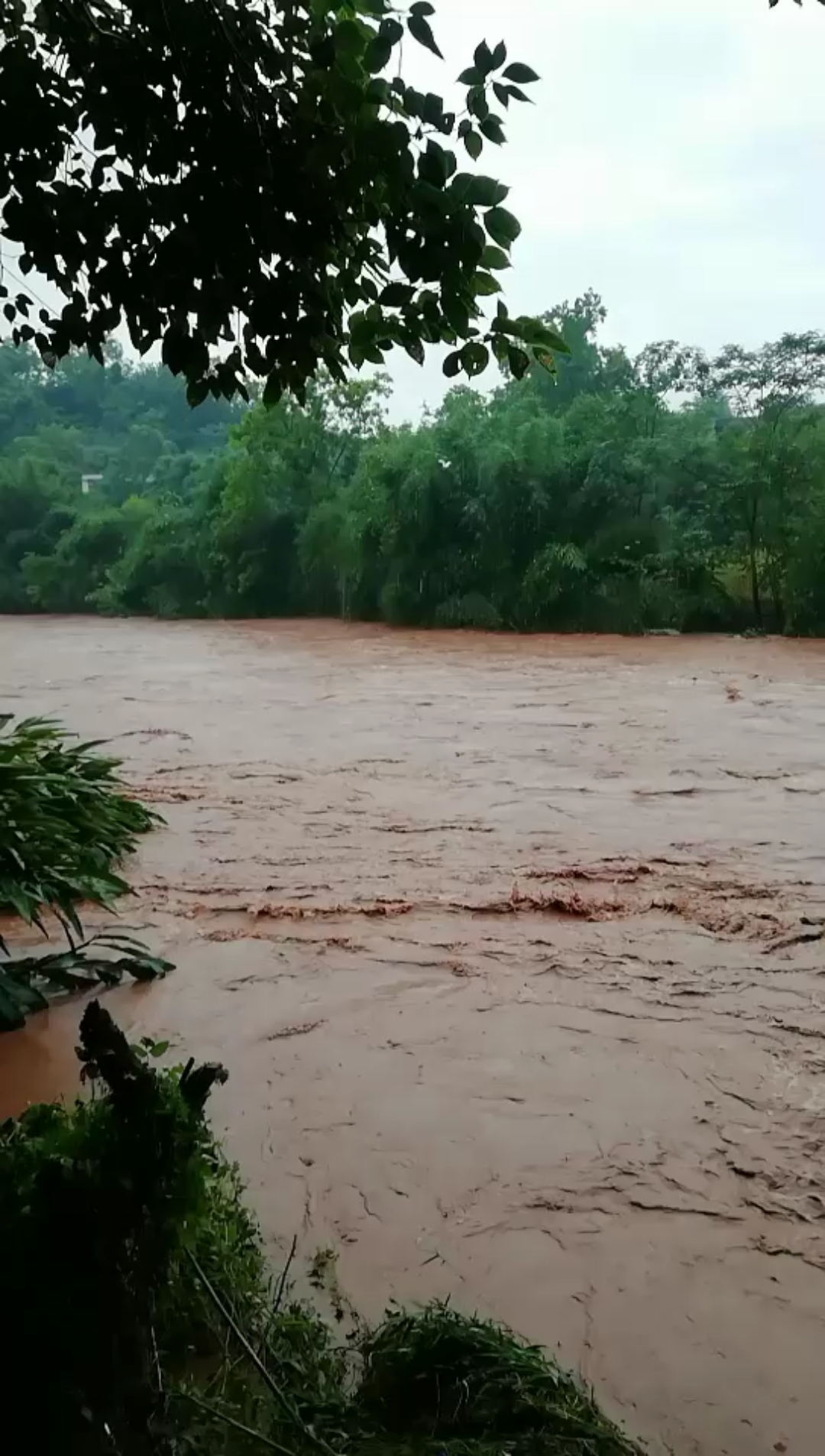 农村#家门口的大洪水,希望不要受灾