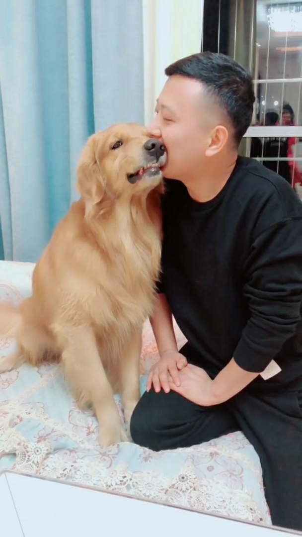 狗咬狗一嘴毛