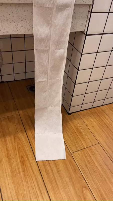 去女同学家做客,她家厕所用的卫生纸软软的还不会