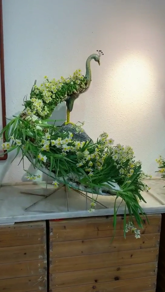 欢乐幸福年#水仙孔雀开屏了