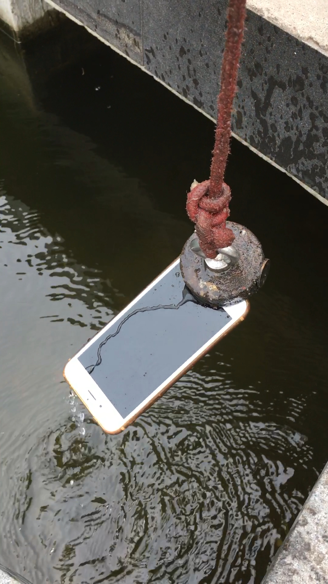 水里 打捞到手机