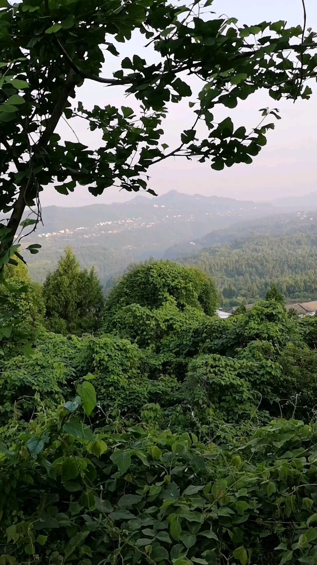 大山农村图片大全图片