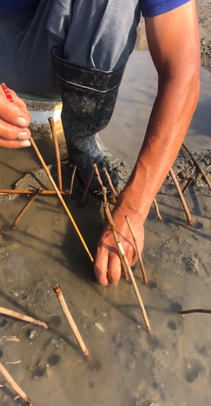 毛笔钓蝼蛄虾