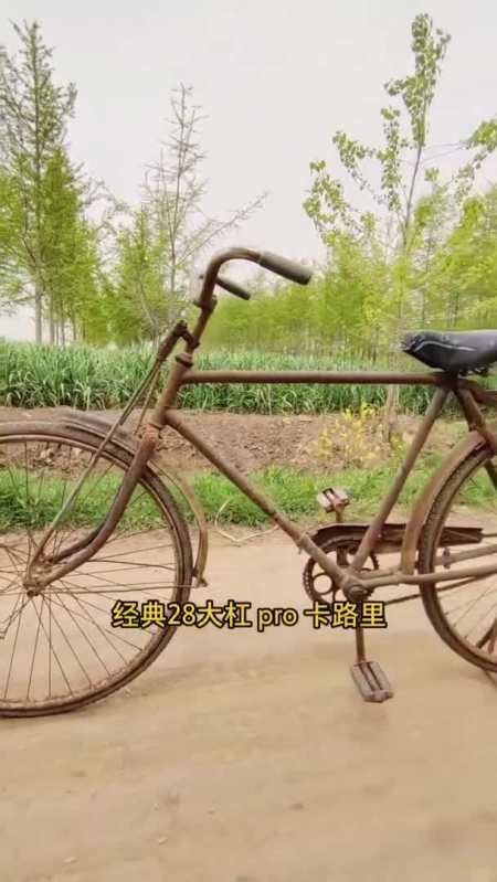 记住乡愁全新二八大杠震撼来袭