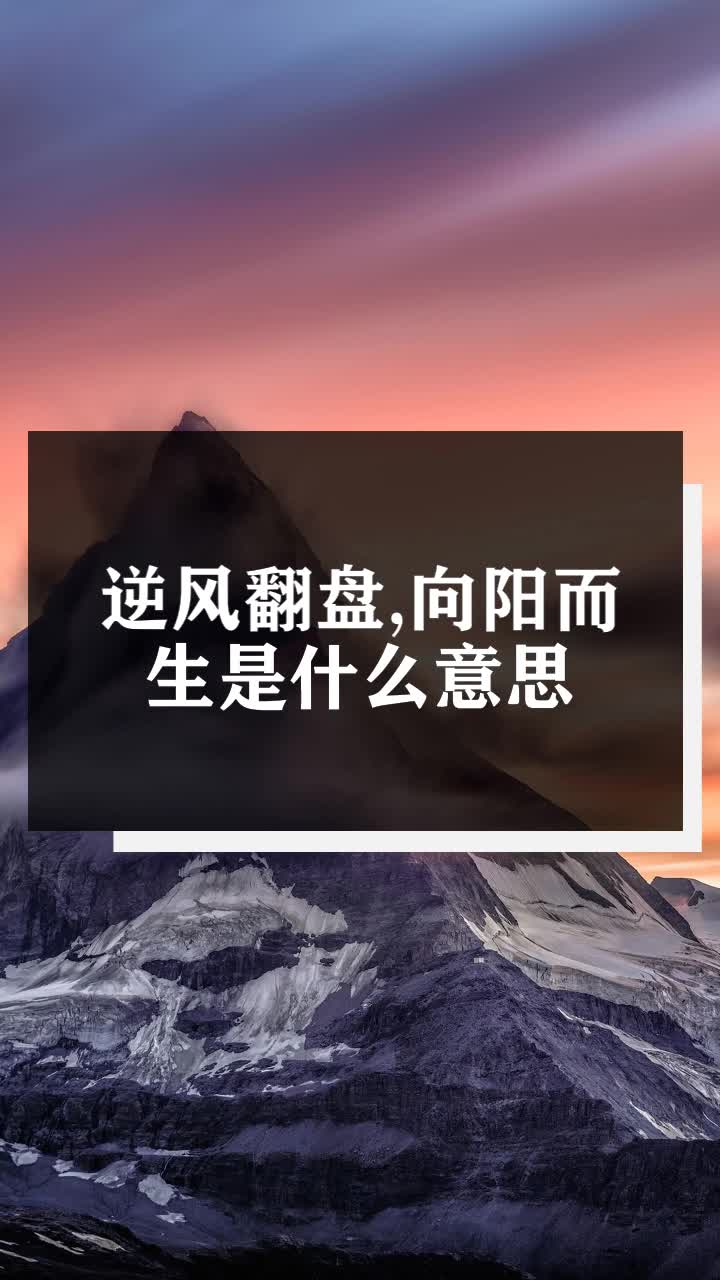 逆风翻盘,向阳而生是什么意思