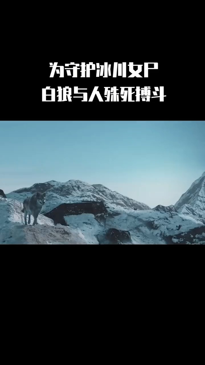 电影白狼王图片