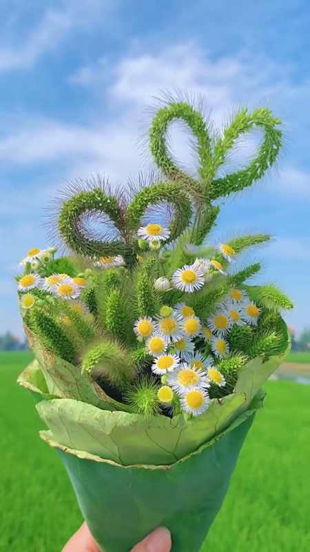 生活需要仪式感,一束狗尾巴草也可以很美呀!学会取悦自己