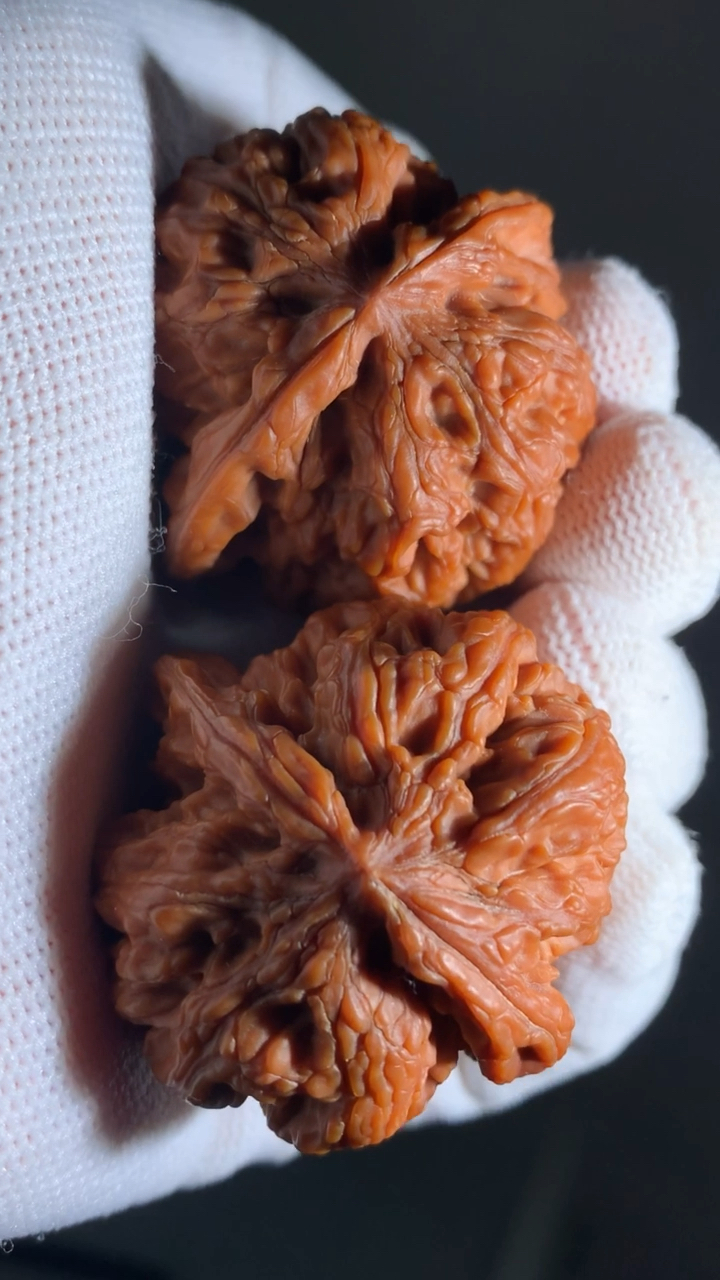 文玩核桃#44极品将军膀,60克