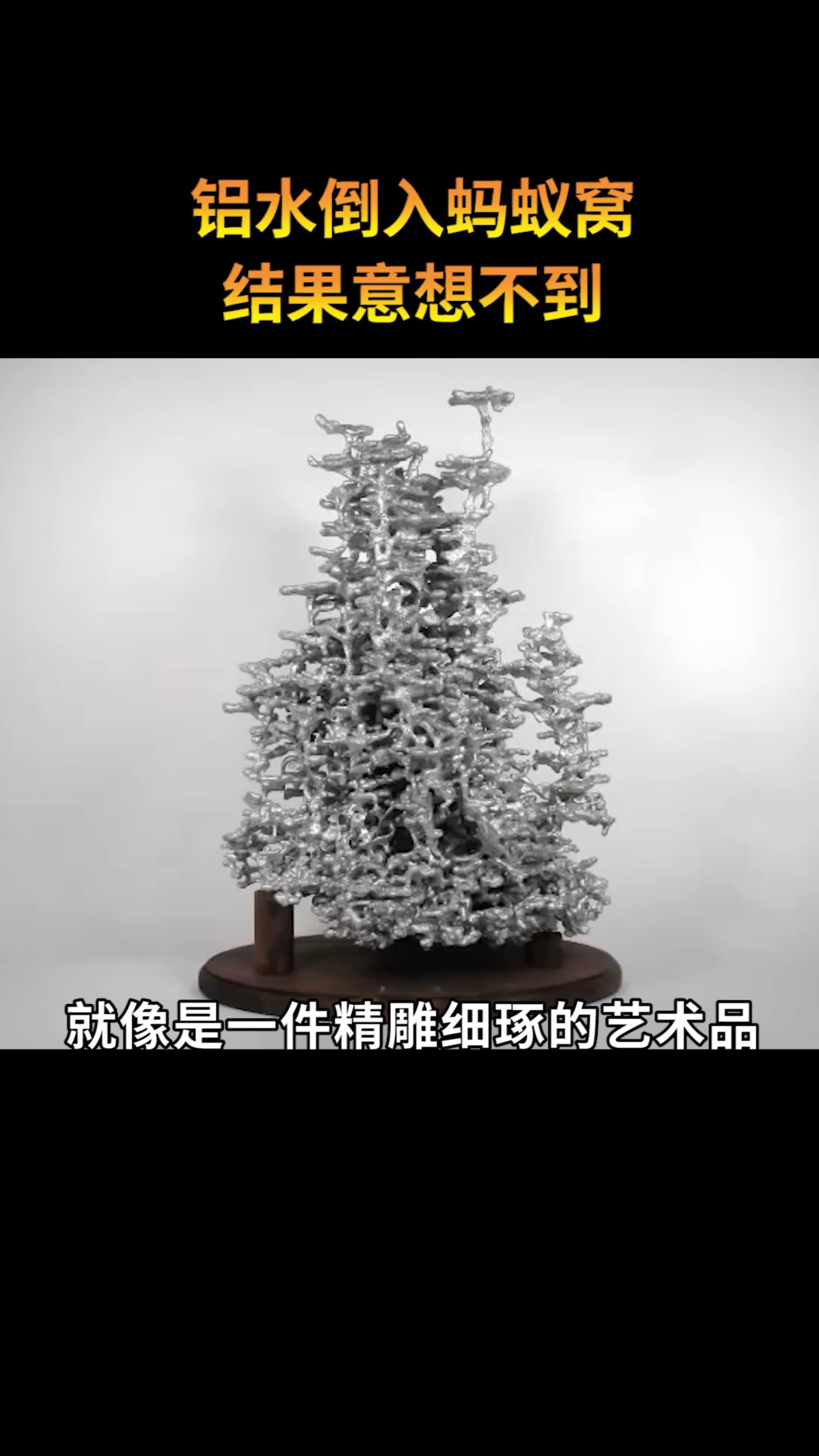 蚂蚁#把2000度的铝水倒入蚂蚁窝,会发生什么?