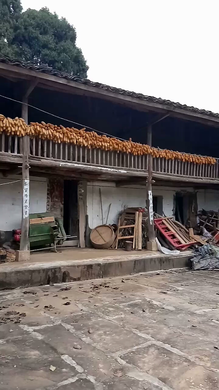 农村人家土房是我家