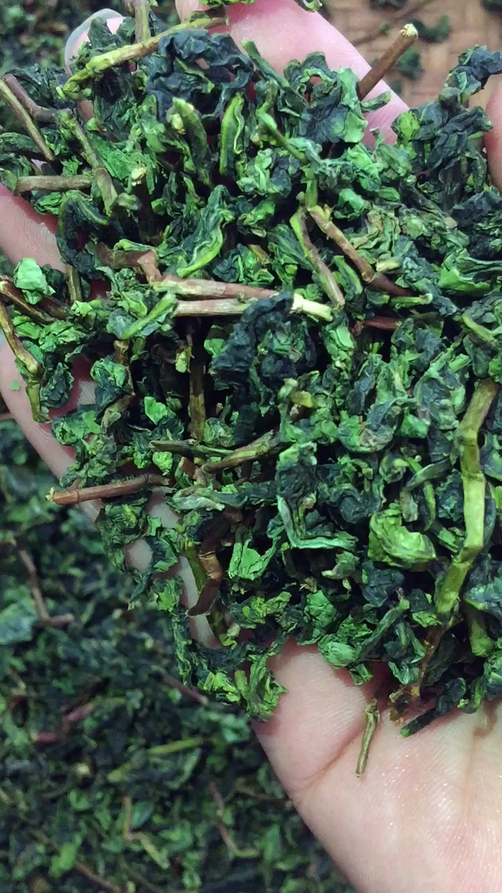 秋茶铁观音毛茶