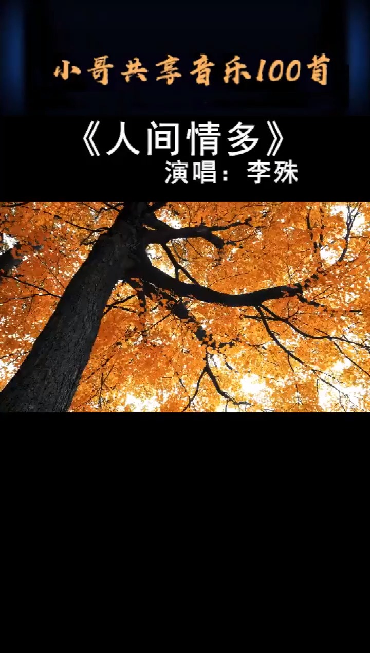 傷感音樂#一時歡笑,一時寂寞.一生相伴最難得-度小視