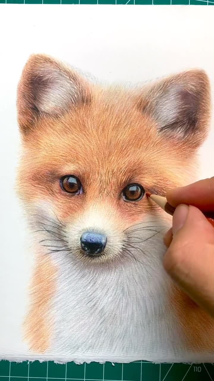 彩铅小狐狸