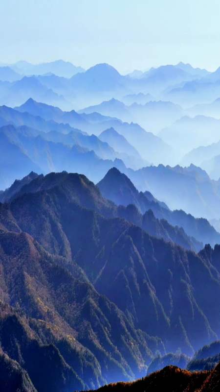 最美的风景#古代诗人都说,高处不胜寒,我是高处风景美如画!