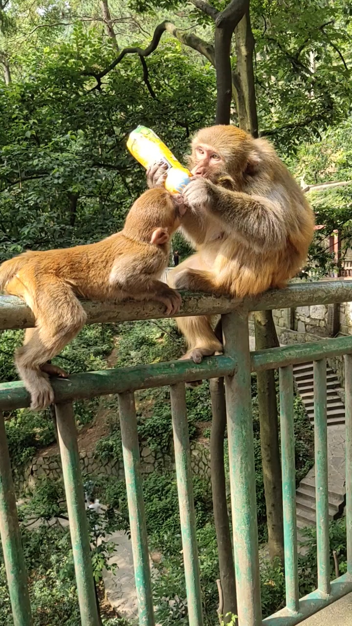 中间有好玩的事情发生.