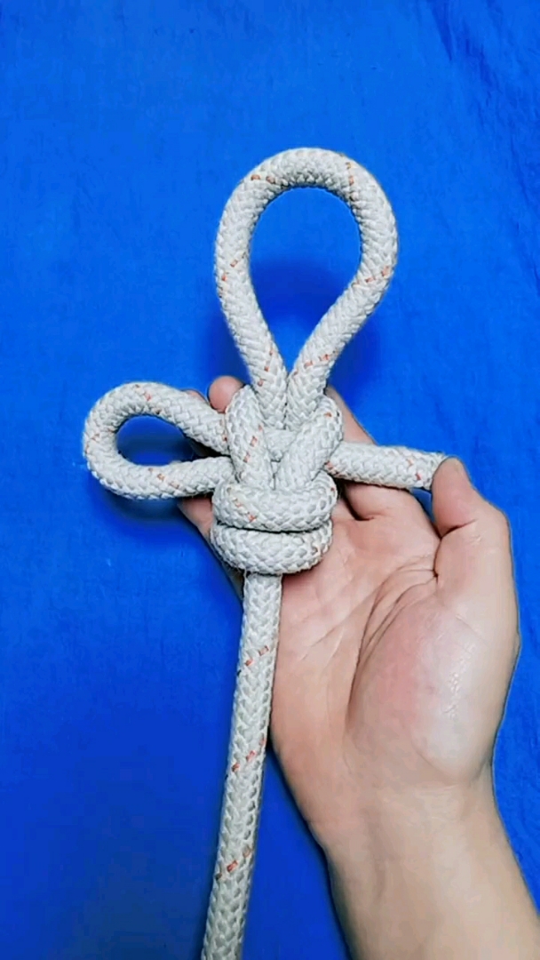 大家好!活套结生活必备,喜欢的点个关注