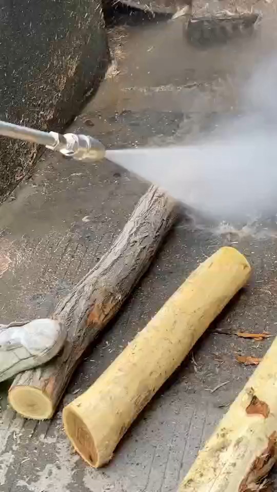 高压清洗机#500公斤~槐树去树皮,就是这么简单