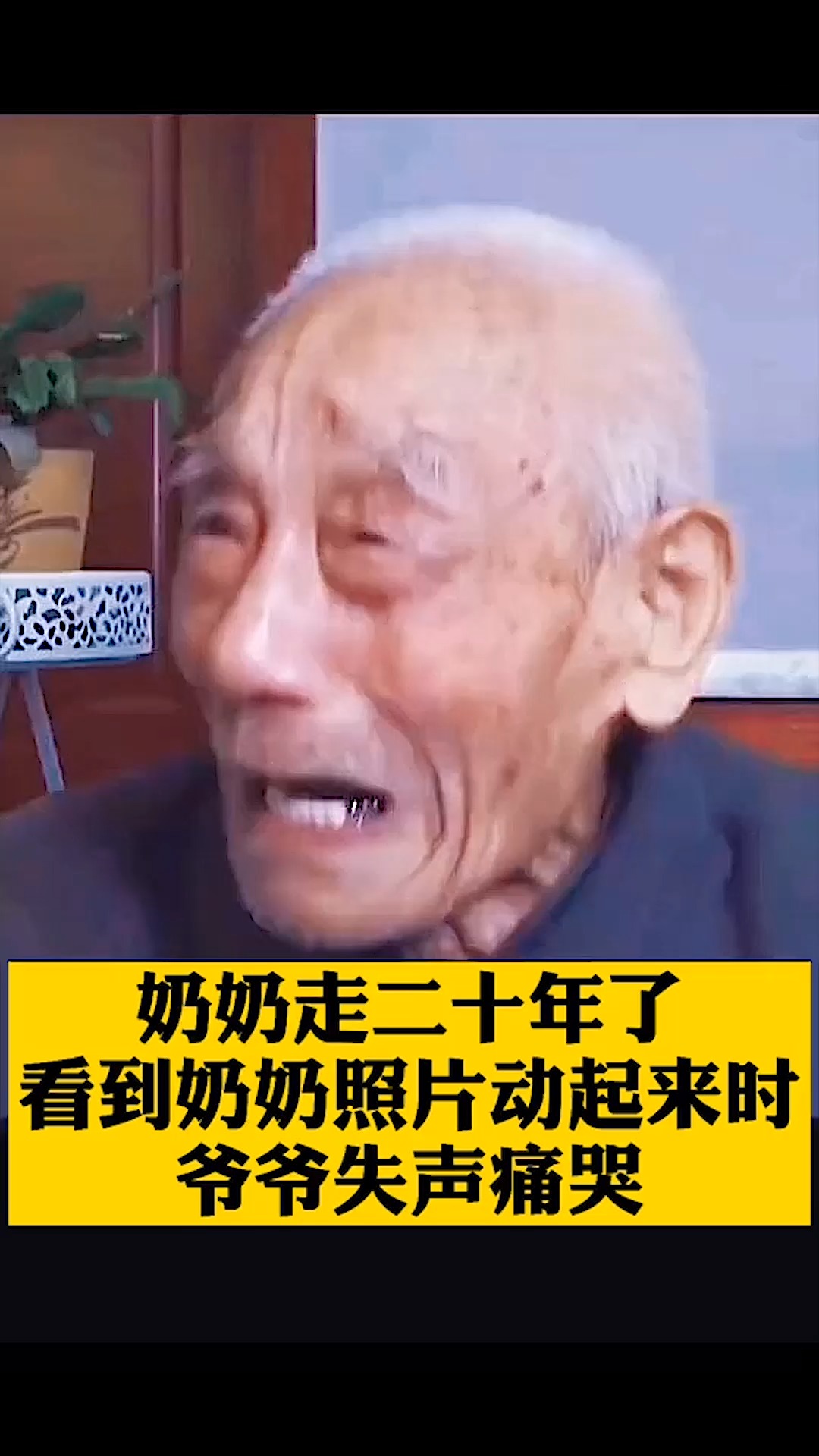 老照片修复会动的老照片修复奶奶的老照片再给爷爷看一眼