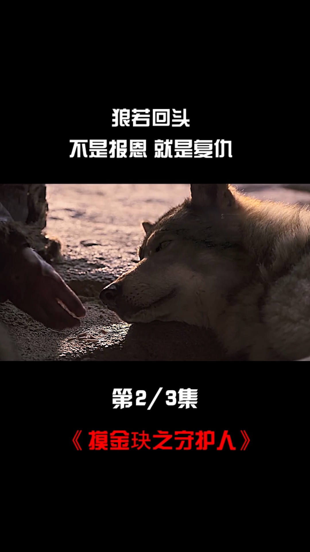 狼若回头,不是报恩就是报仇