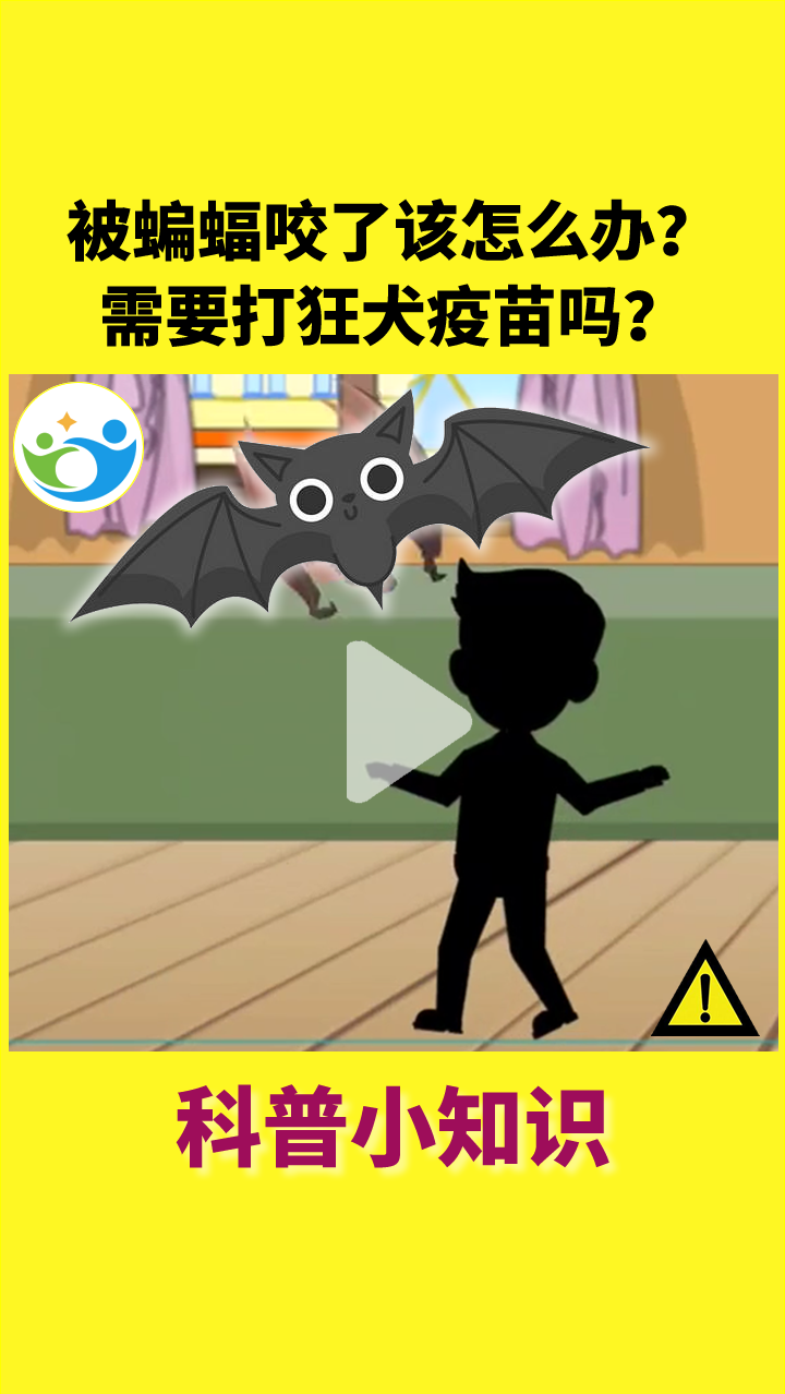知识科普#被蝙蝠咬伤怎么办?-度小视