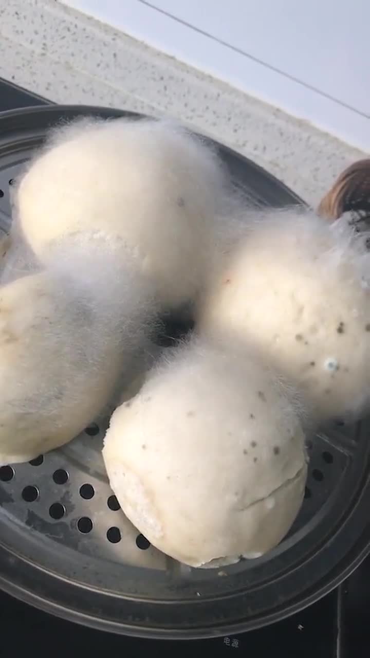 几天没回家,馒头竟长了白毛,真是太漂亮了!