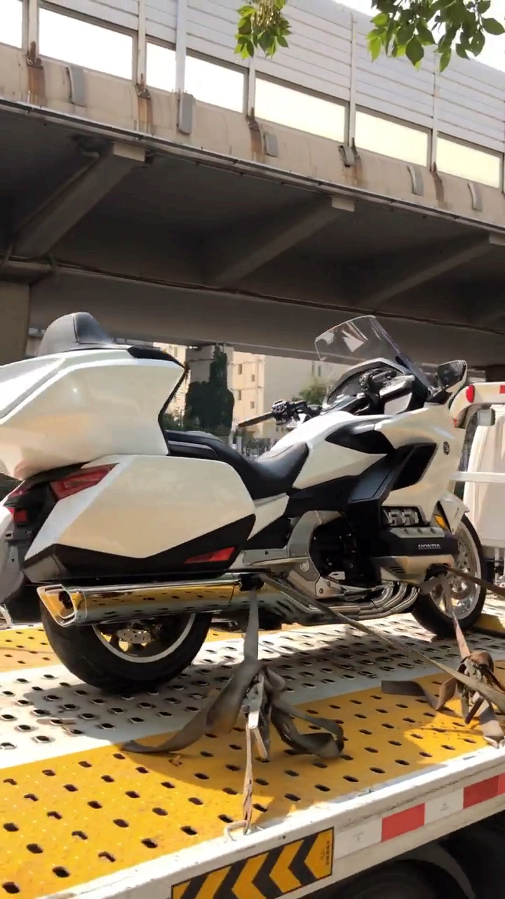 本田金翼#一辆宝马5系提车