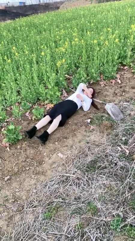 今天来地里干活累了,躺在这里休息一会,我还真的睡着了