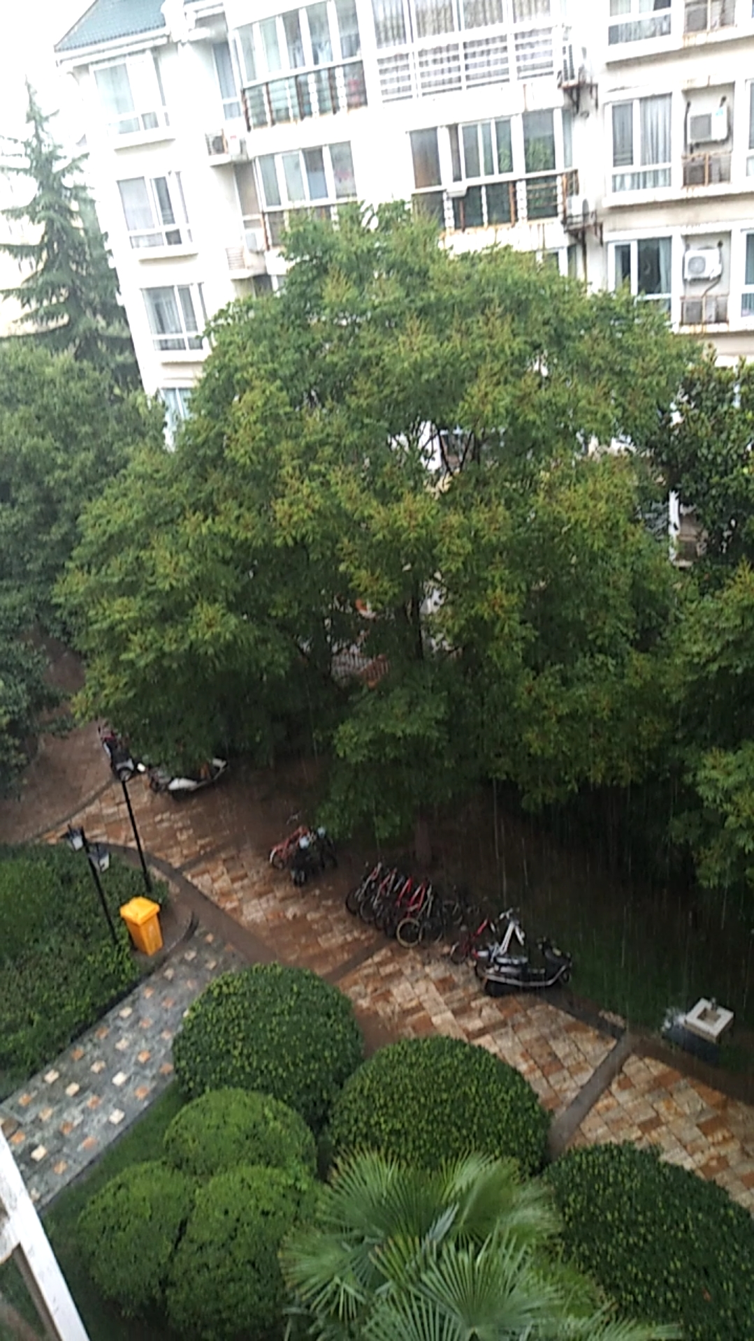 你好,夏天#我的小区下雨了