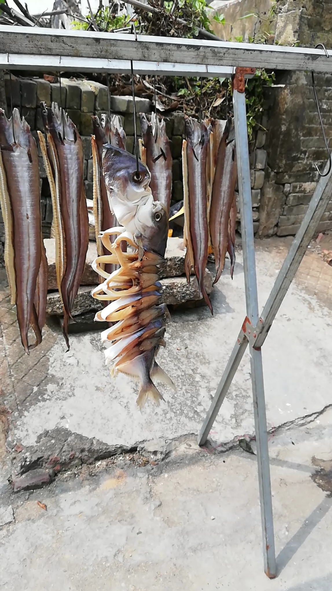 鱼干就是这样凉成的