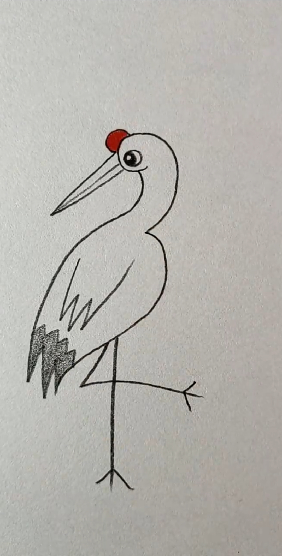 丹顶鹤的画法简单图片