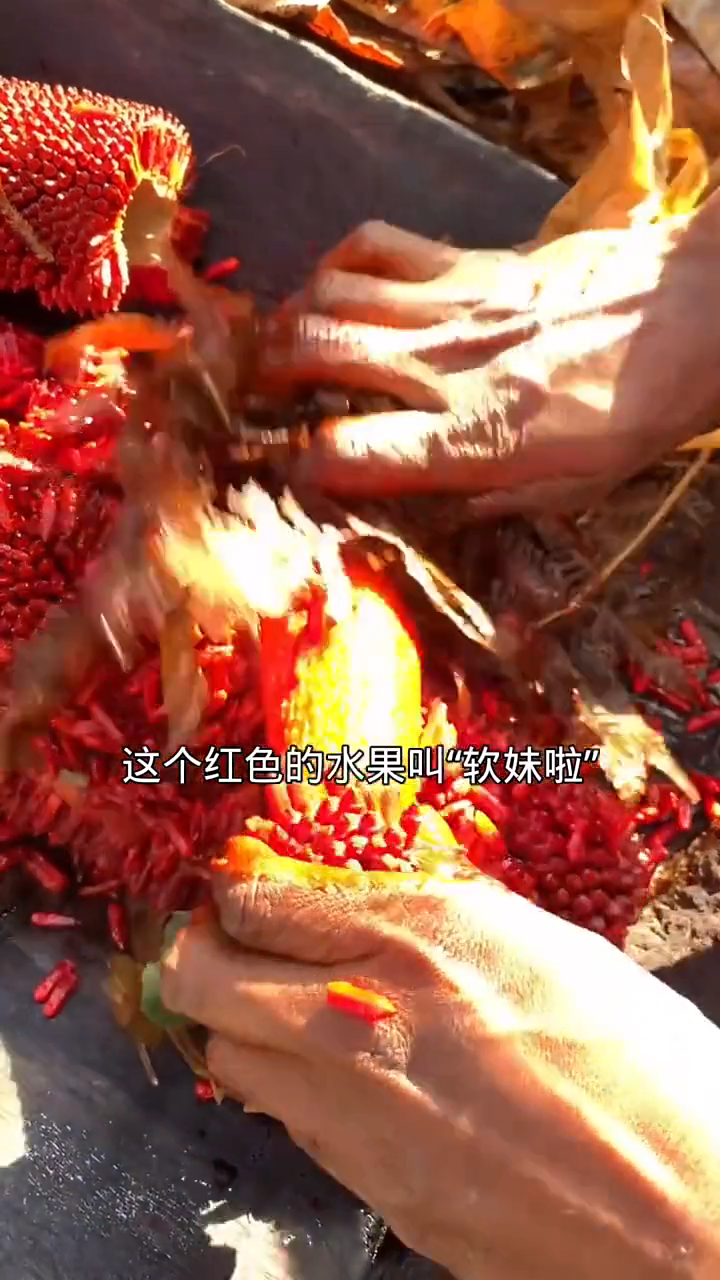 来看看土著人软妹水果是什么