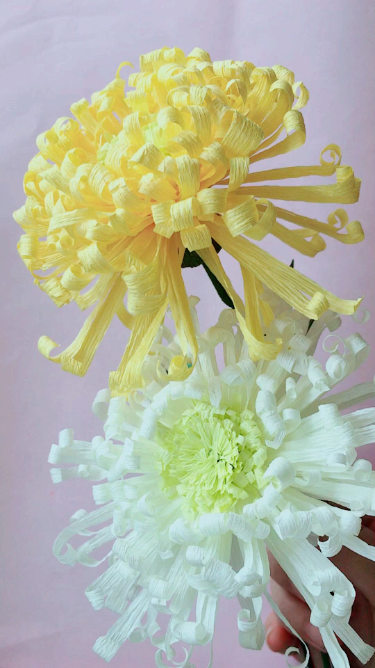 皱纹纸做的黄金菊花,像不像?