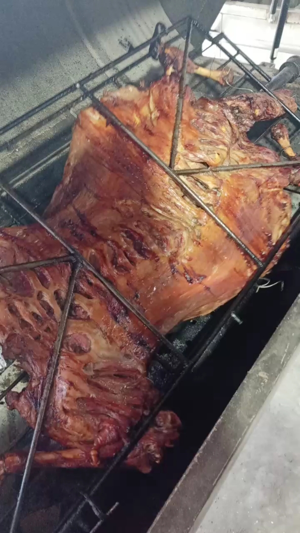 考全羊有食欲不