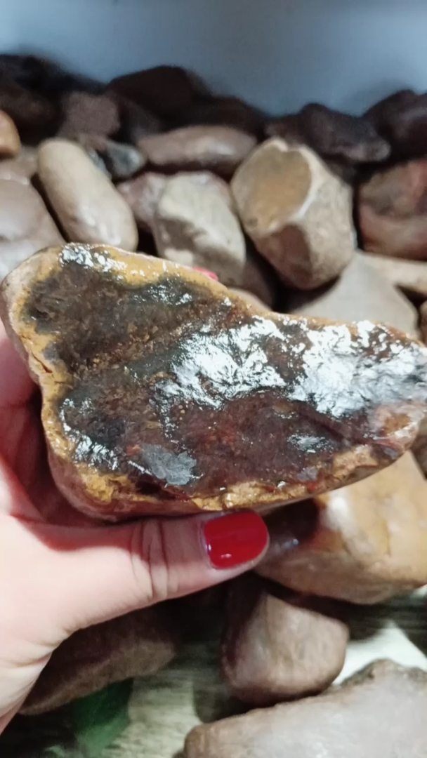 五大连池市大叶草化玉