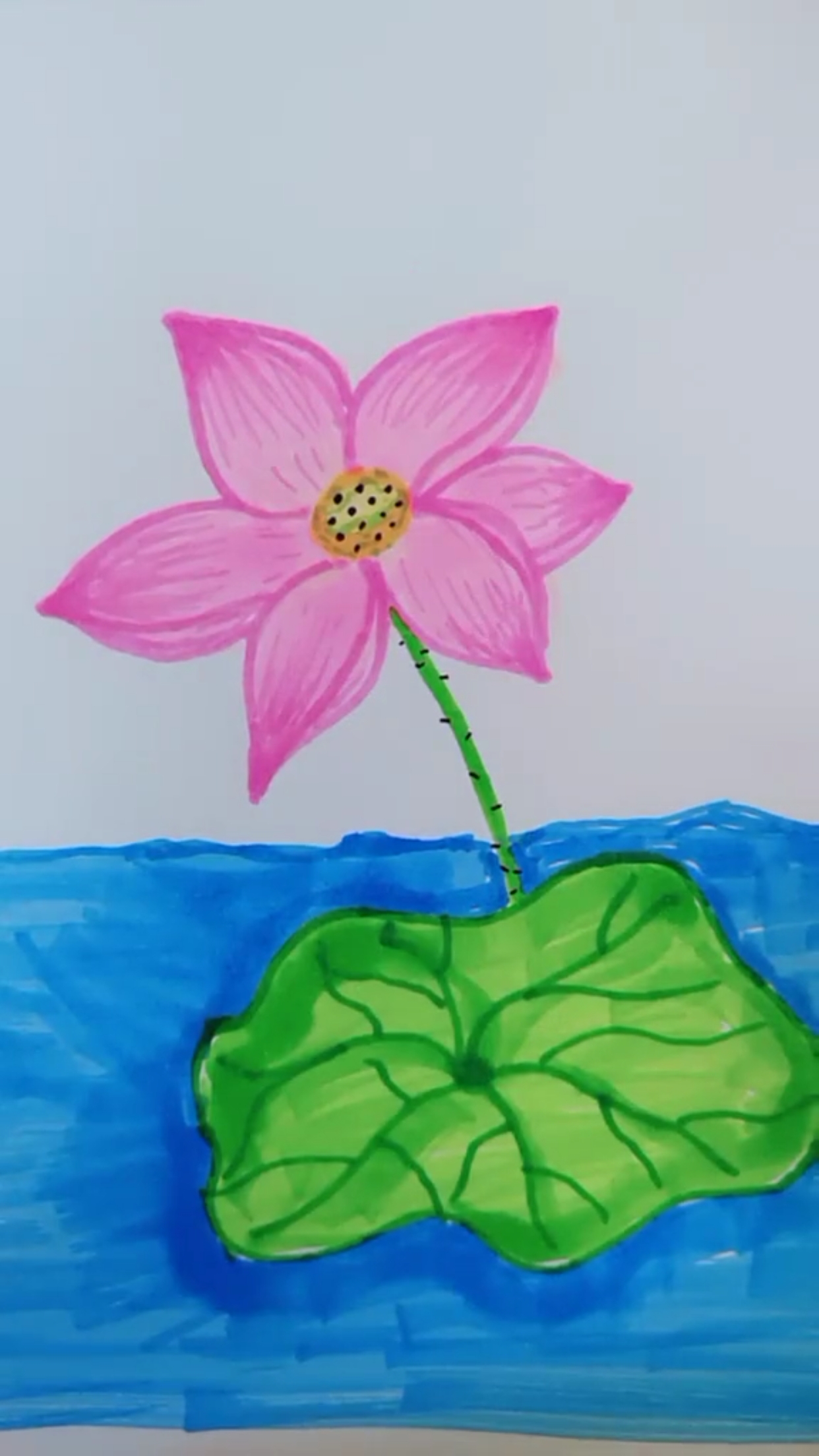 创意简笔画#荷花开放真的很漂亮