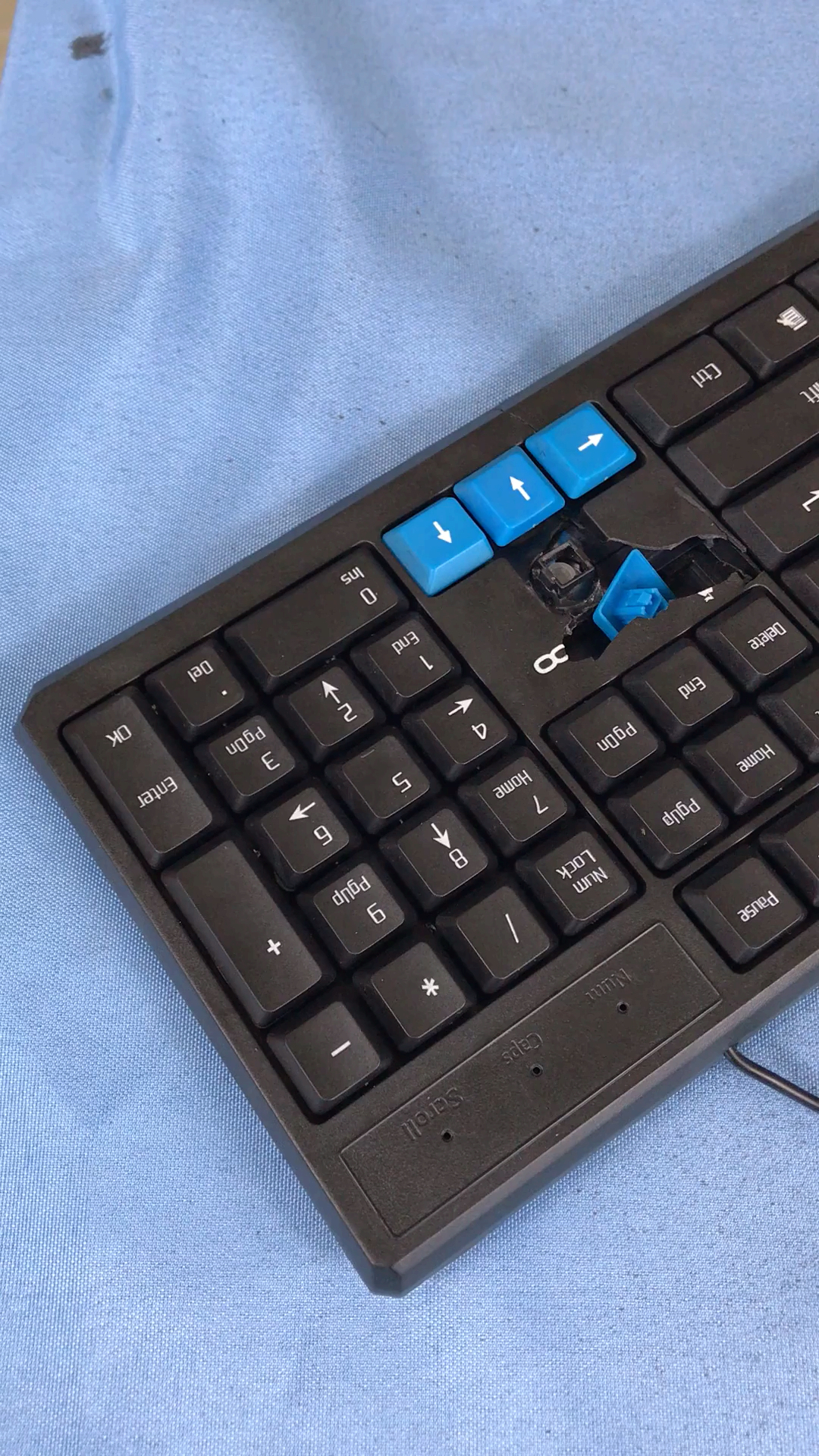 秀出你的拿手菜#键盘碎了,照样可以修!效果不错吧!