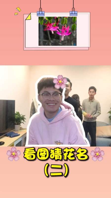 看图猜花名这些花你都认识吗