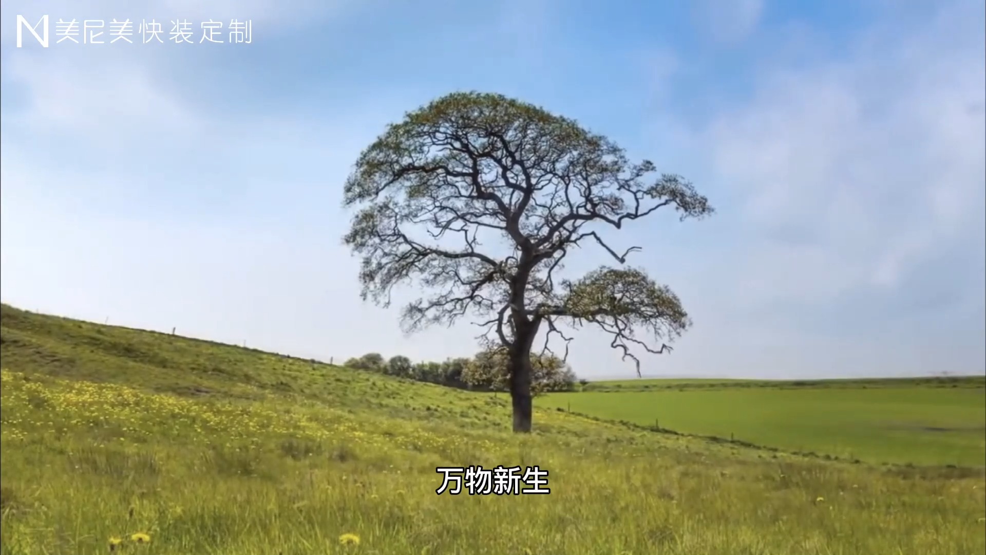 聚焦3月24日 美尼美快装定制"万物新生"全球新品发布会 万物新生,静待