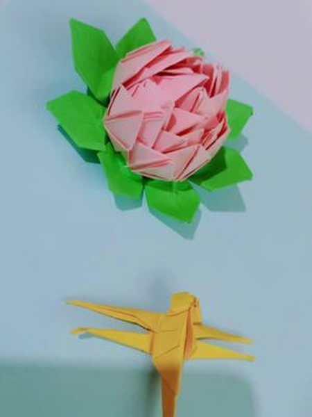 唯美的睡莲很简单一起做3张纸跟着玩新疆折纸手工荷花