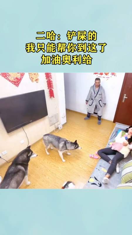 二哈:铲屎的,我只能帮你到这了,加油奥利给