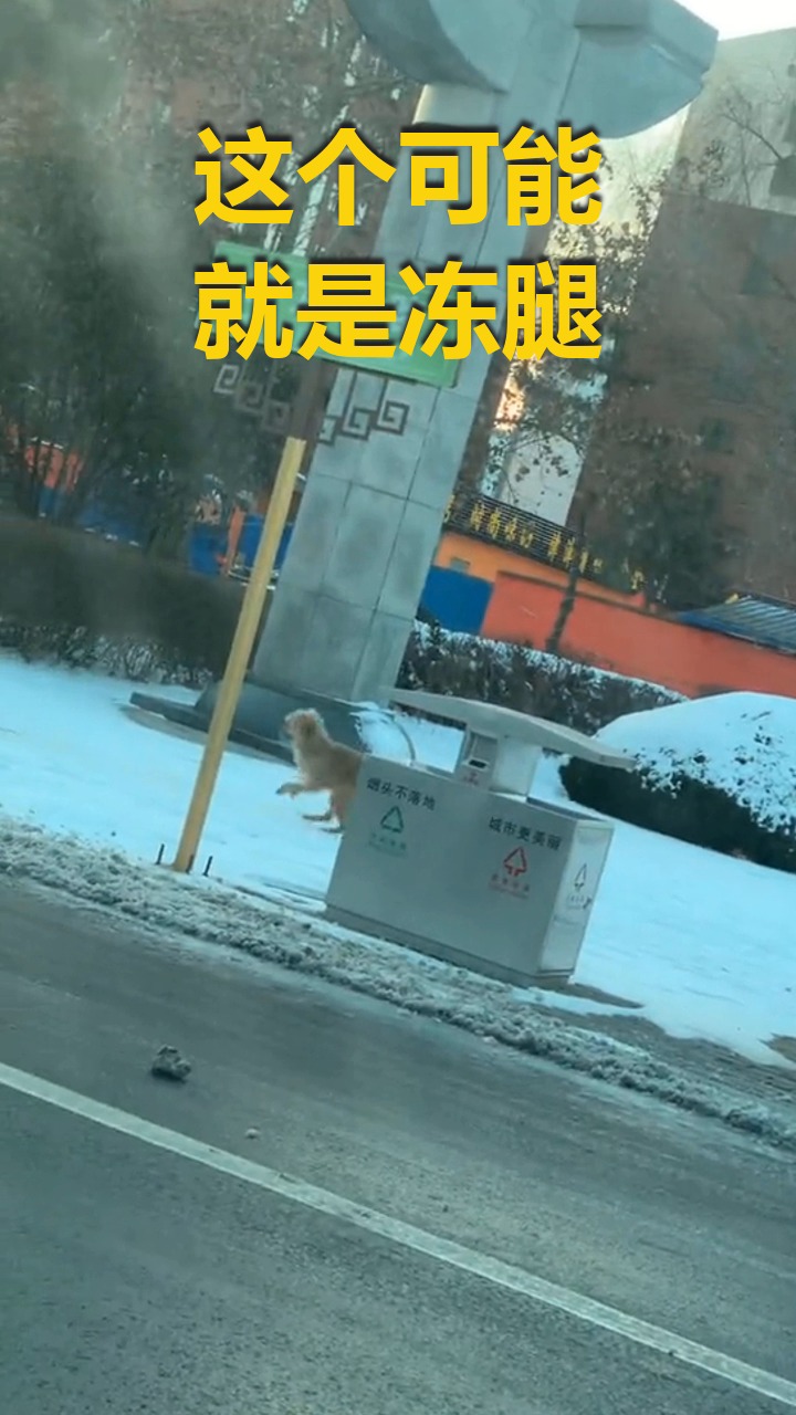 搞笑视频#这个可能就是冻腿