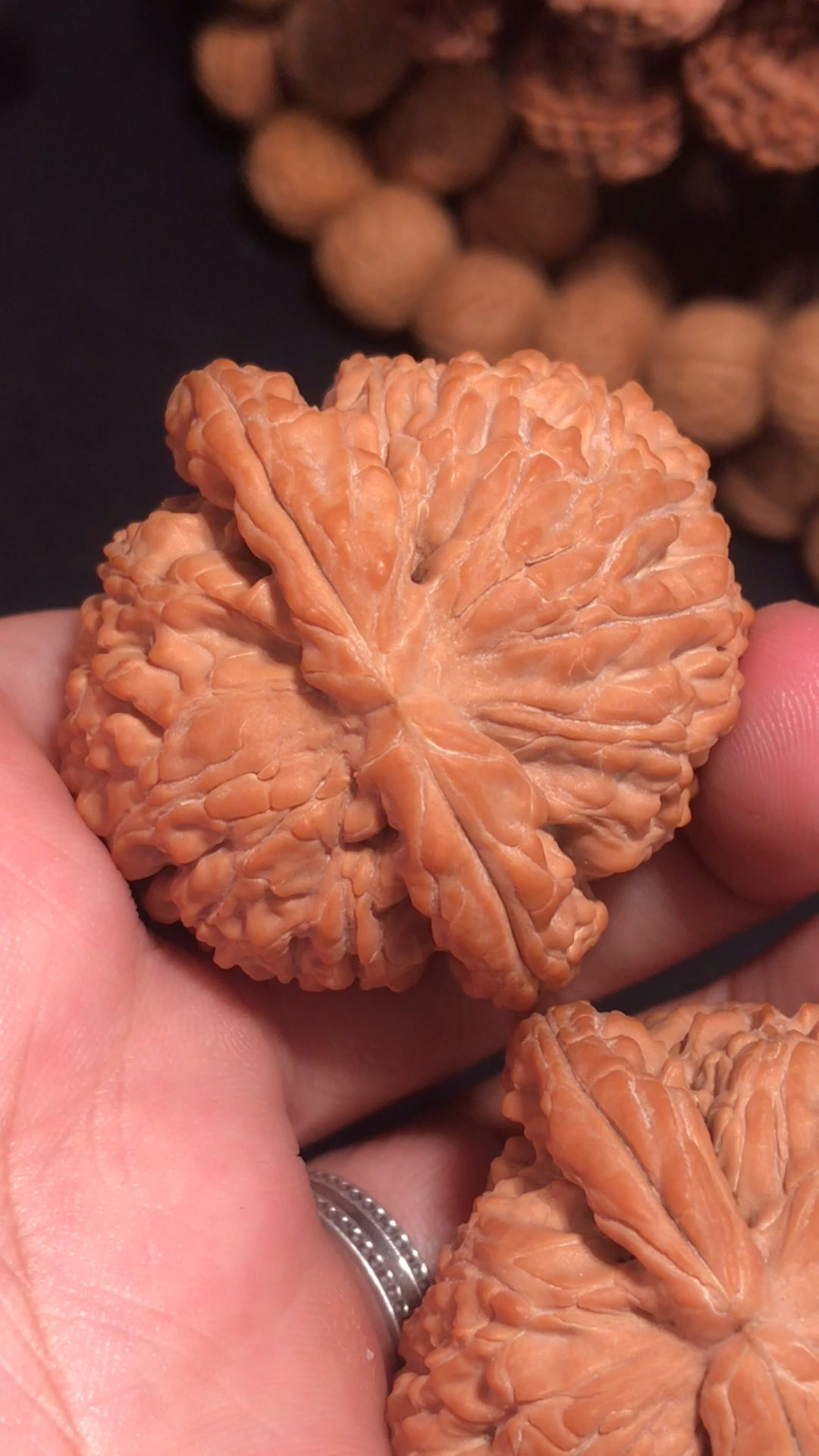 文玩核桃小精品闷尖白狮子头