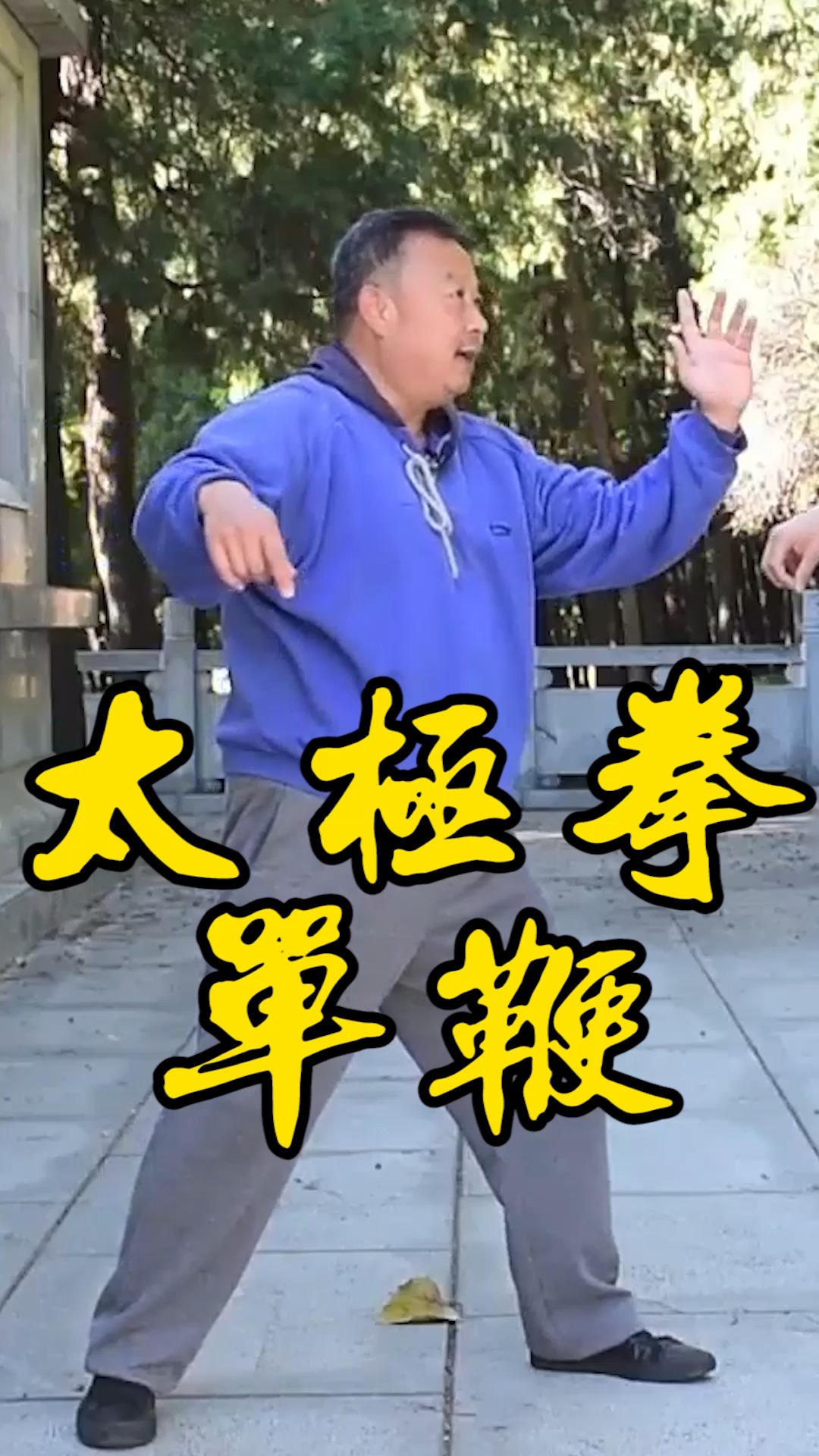 太极拳太极拳单鞭实战用法挒如撕物实用