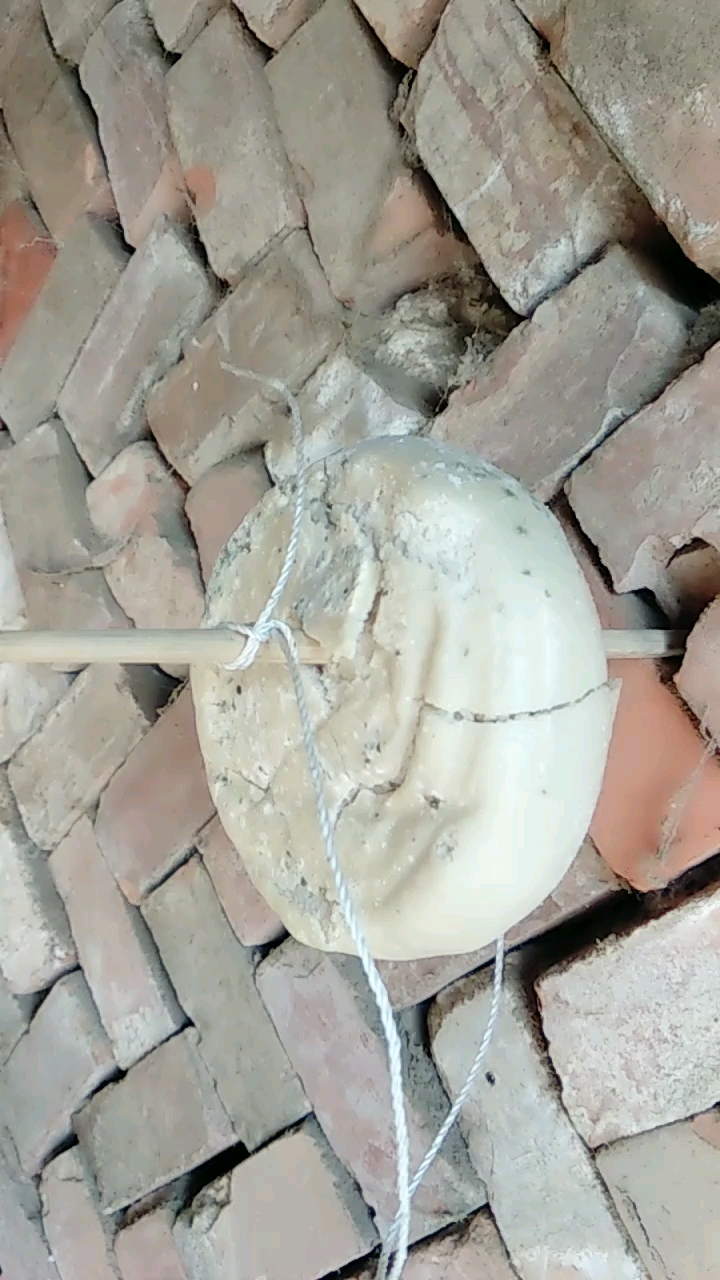 谁过腊八找立夏的馍,这有