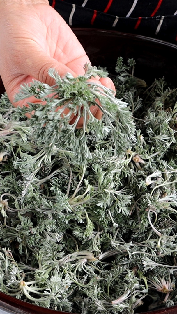 春天野菜白蒿最好吃的做法